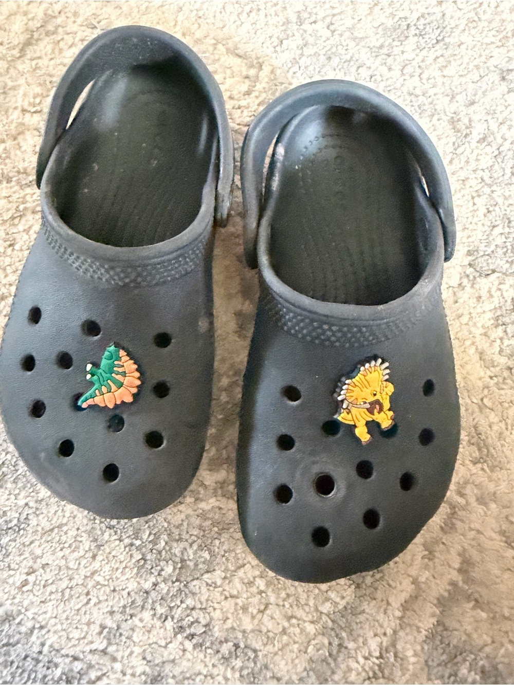 Kids Black Crocs Sandals with Fun Charms